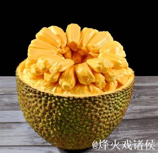 揭秘菠萝蜜直播视频的精彩瞬间