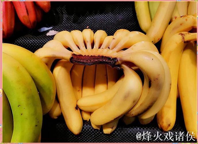 探索香蕉视频官方：你的娱乐新天地